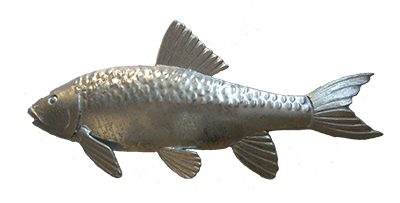 Fish2
